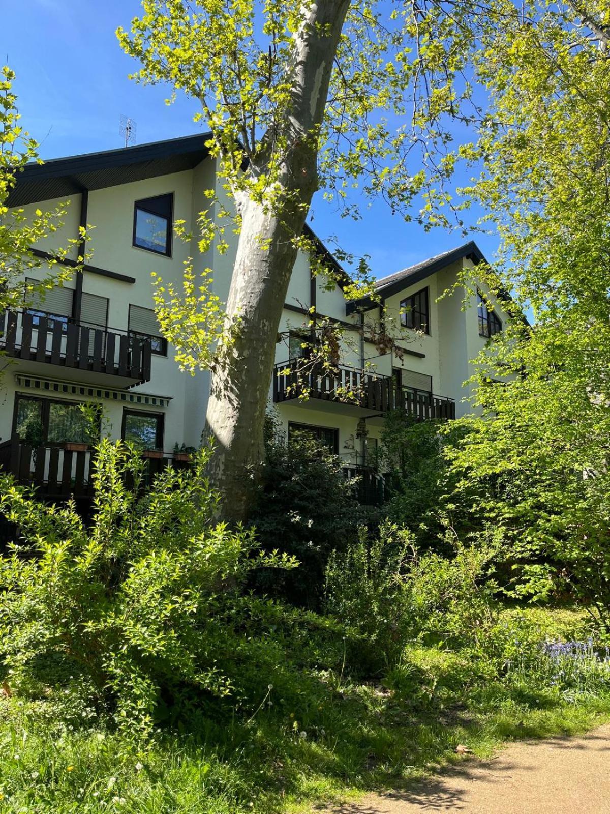 Zentrale Ferienwohnung Am Buhlschen Park In Deidesheim Esterno foto