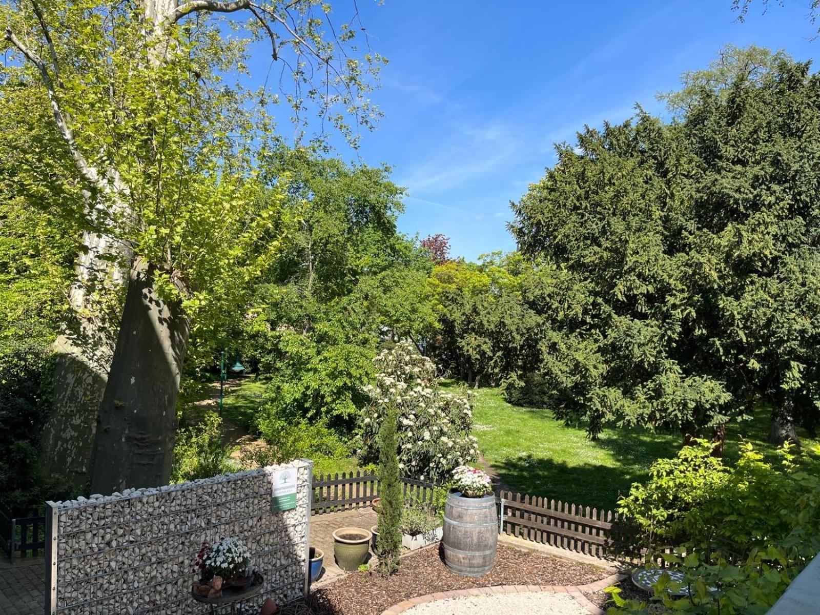 Zentrale Ferienwohnung Am Buhlschen Park In Deidesheim Esterno foto